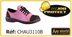 CHAU3110B