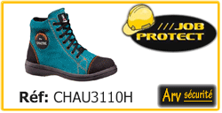 CHAU3110H